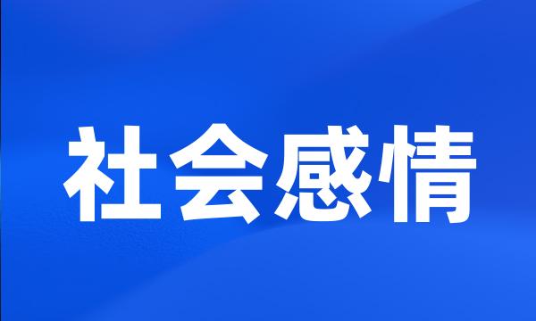 社会感情