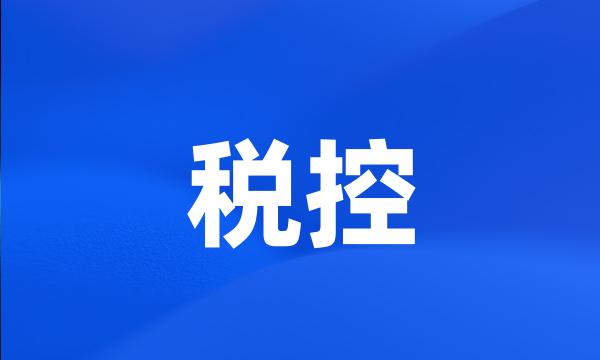 税控