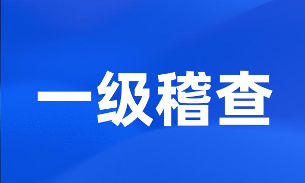 一级稽查