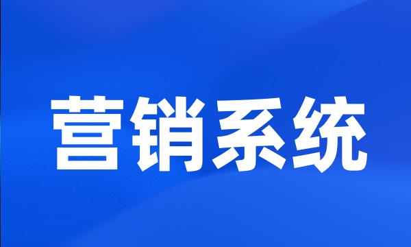 营销系统