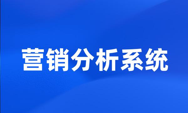 营销分析系统