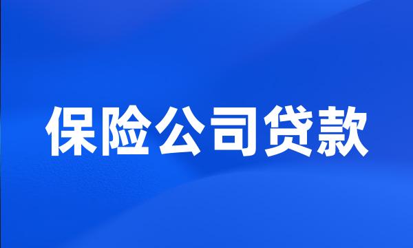 保险公司贷款