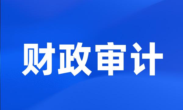 财政审计