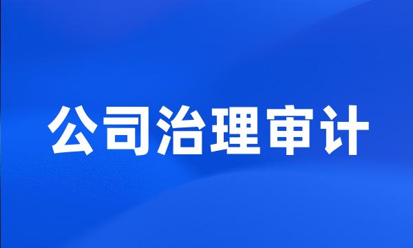 公司治理审计