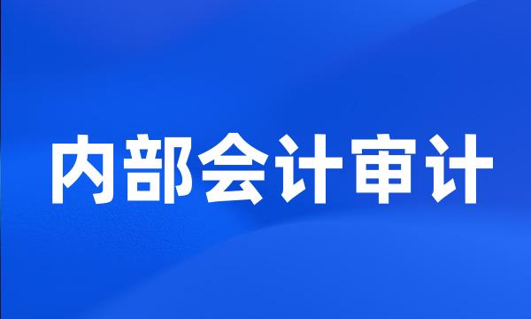 内部会计审计