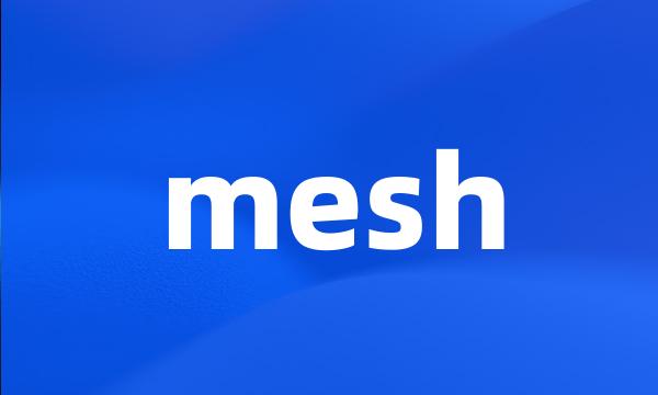 mesh