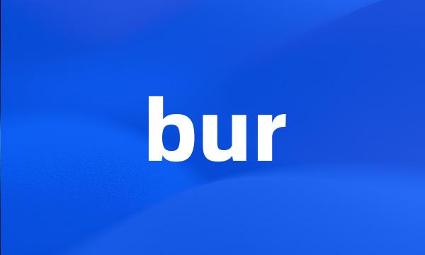 bur