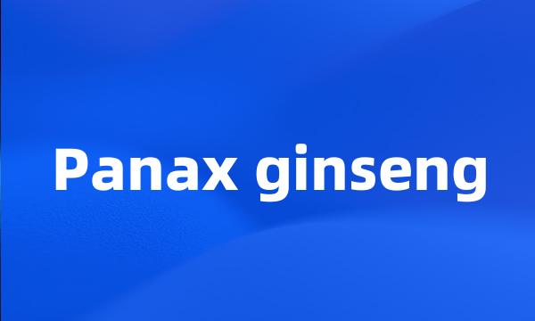 Panax ginseng