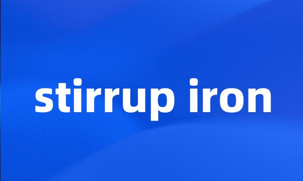 stirrup iron