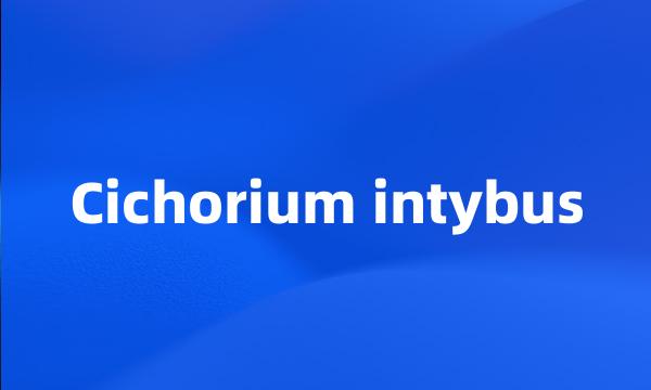 Cichorium intybus