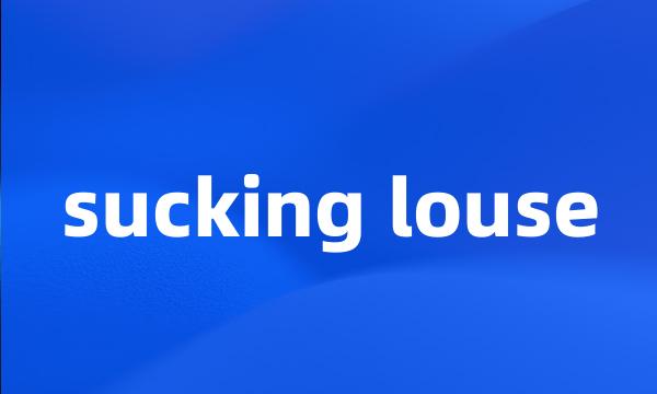 sucking louse