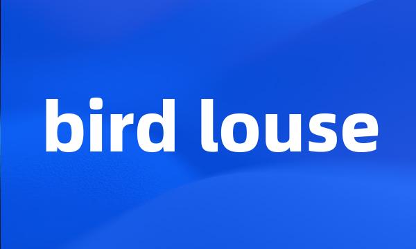 bird louse