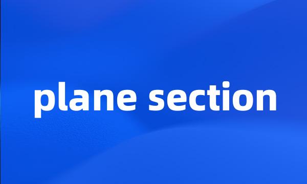 plane section