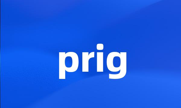 prig