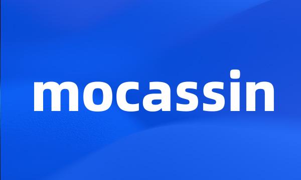 mocassin