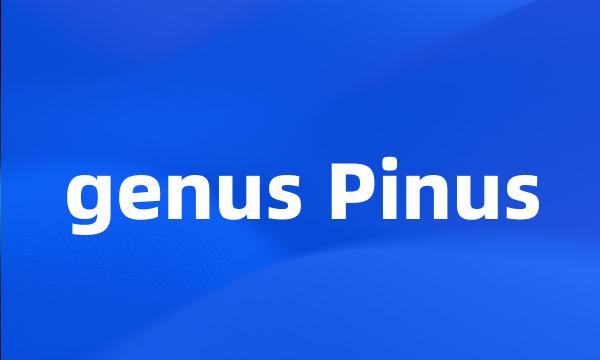 genus Pinus