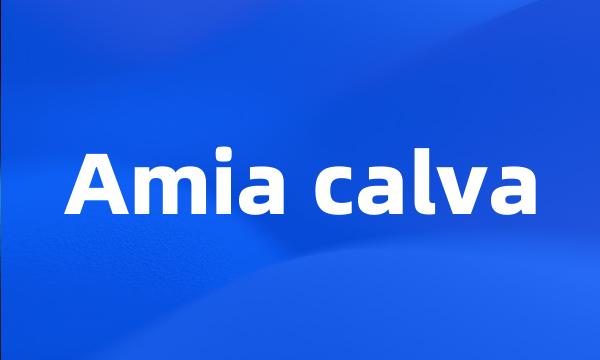 Amia calva