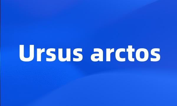 Ursus arctos