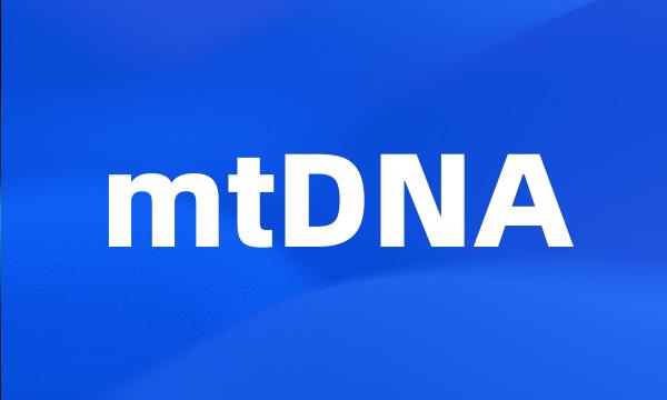 mtDNA