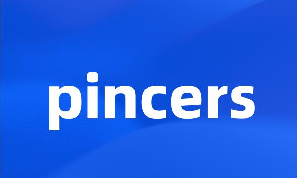 pincers