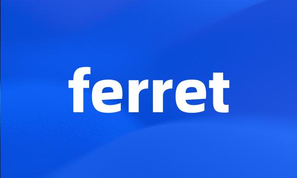 ferret