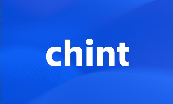 chint