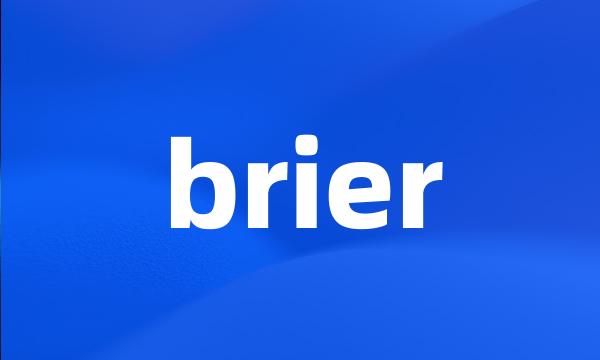 brier