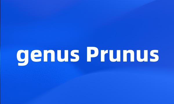 genus Prunus