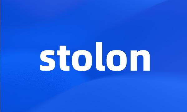 stolon