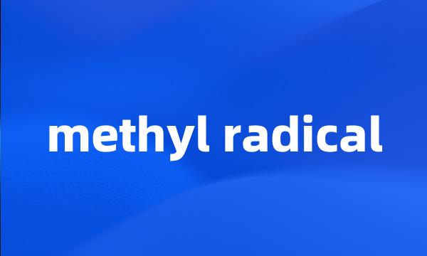 methyl radical