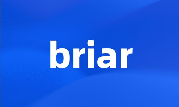 briar