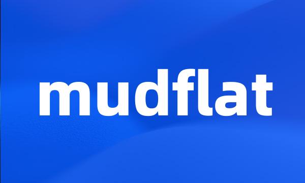 mudflat