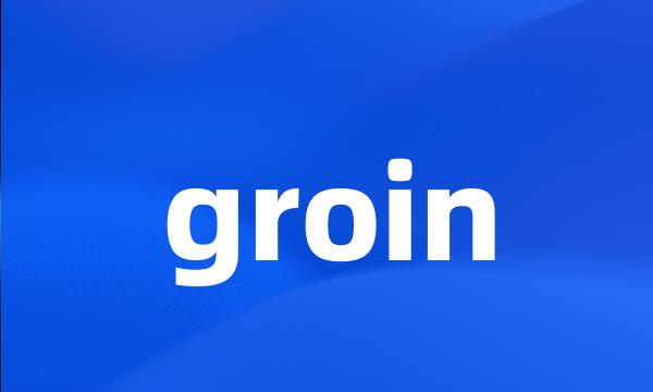 groin