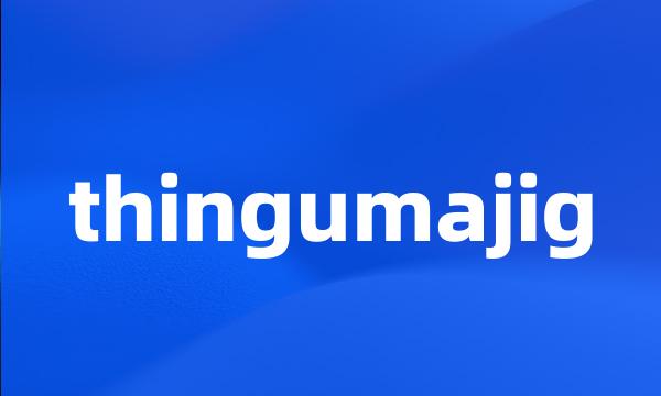 thingumajig