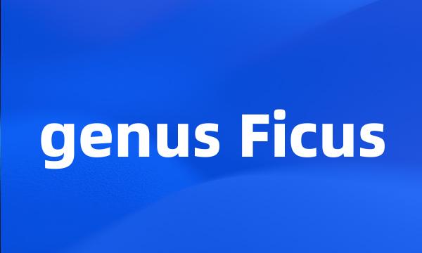 genus Ficus