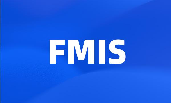 FMIS