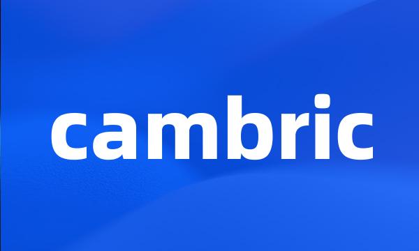 cambric