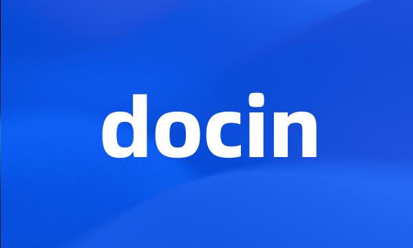 docin