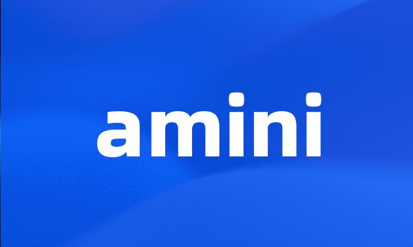 amini