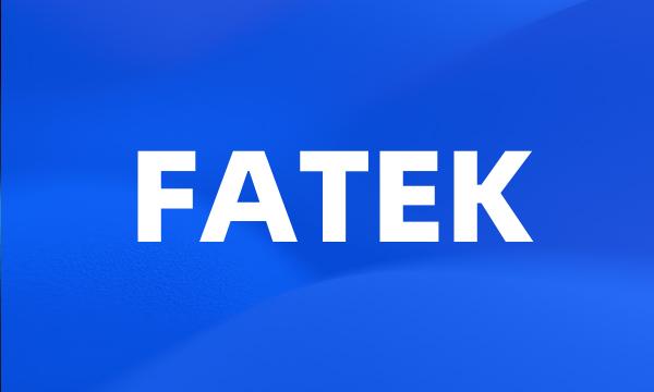 FATEK