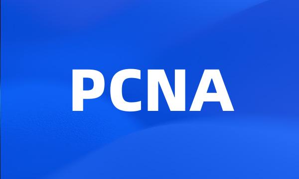 PCNA