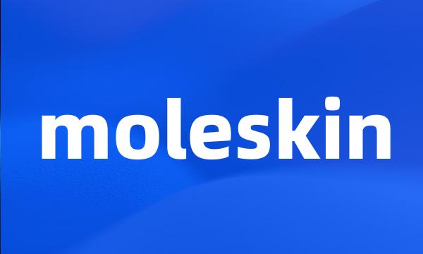 moleskin