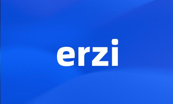 erzi