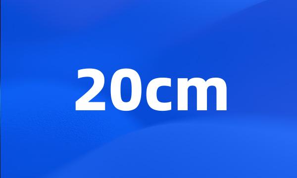 20cm