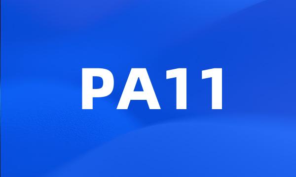 PA11