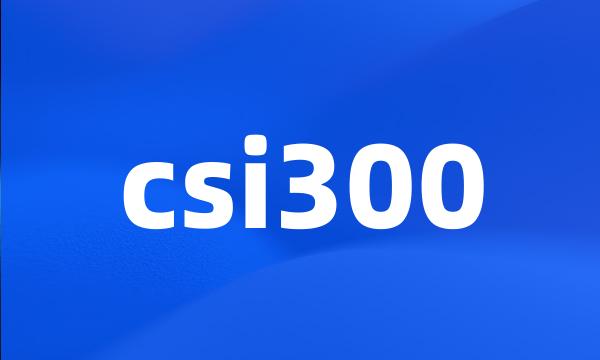 csi300