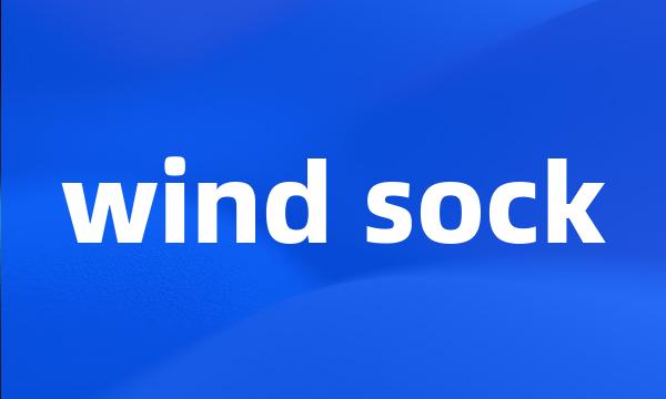 wind sock