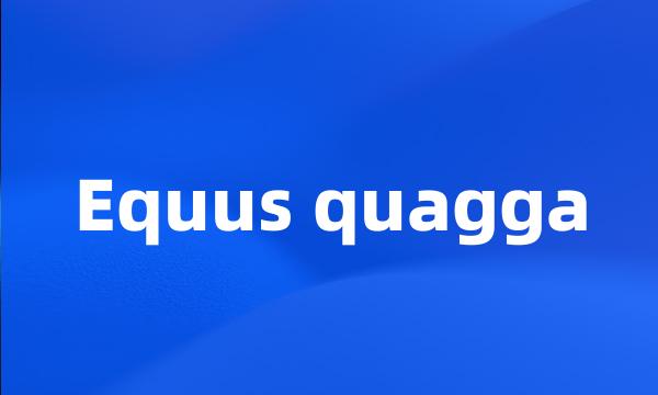 Equus quagga