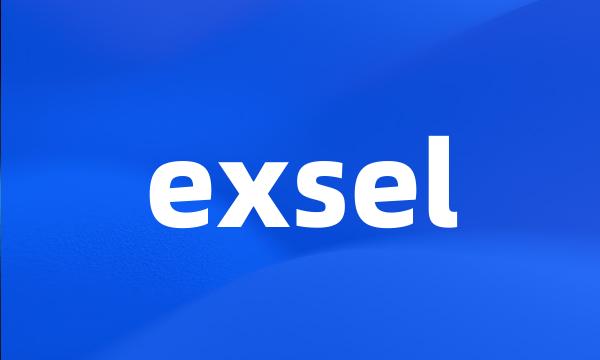 exsel