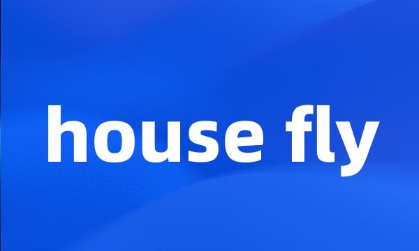 house fly